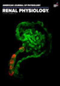 American Journal Of Physiology-renal Physiology