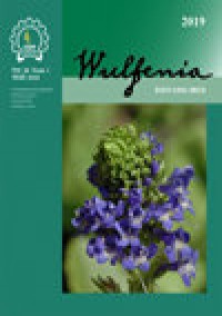 Wulfenia